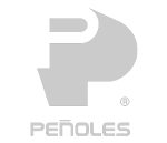 Logos_página webMesa de trabajo 25